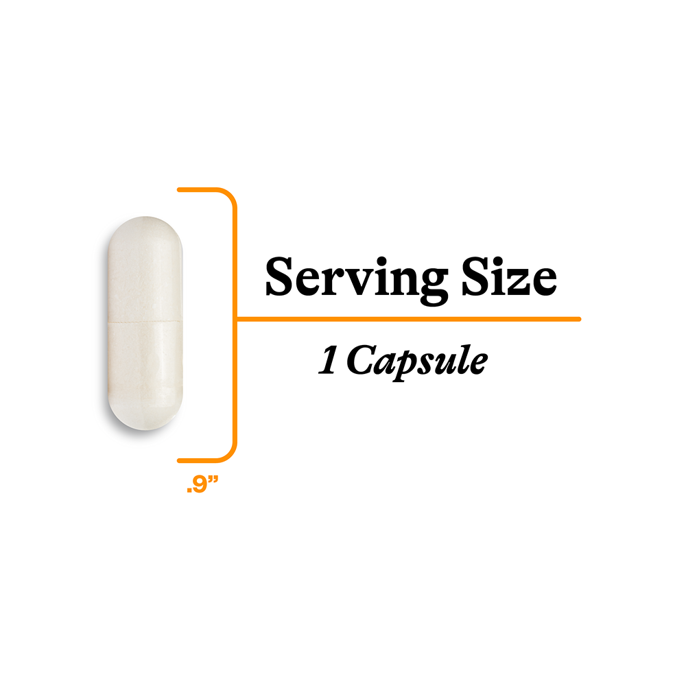 Acetyl-L-Carnitine - Everyday Essential