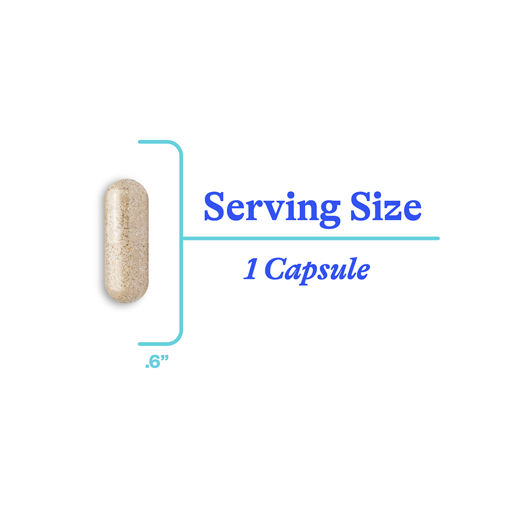 Adrenal Cortex - Everyday Essential