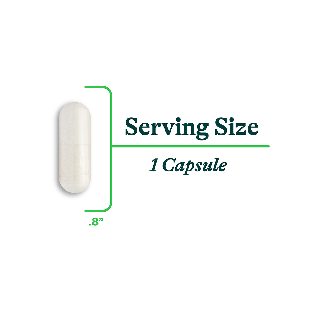 Calcium D-Glucarate - Everyday Essential