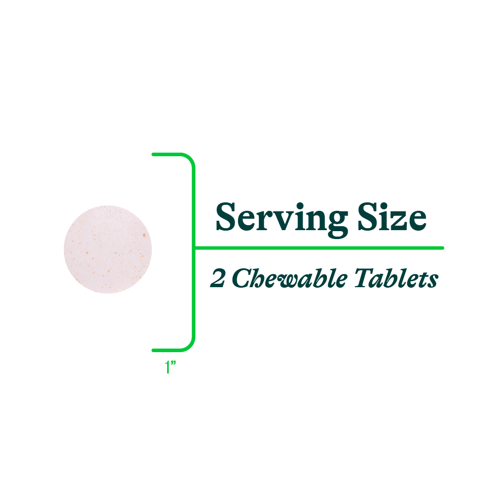 Digestive Enzymes Chewable - Everyday Essential