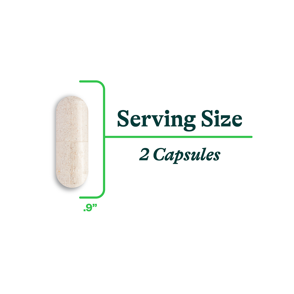 Digestive Enzymes - Everyday Essential
