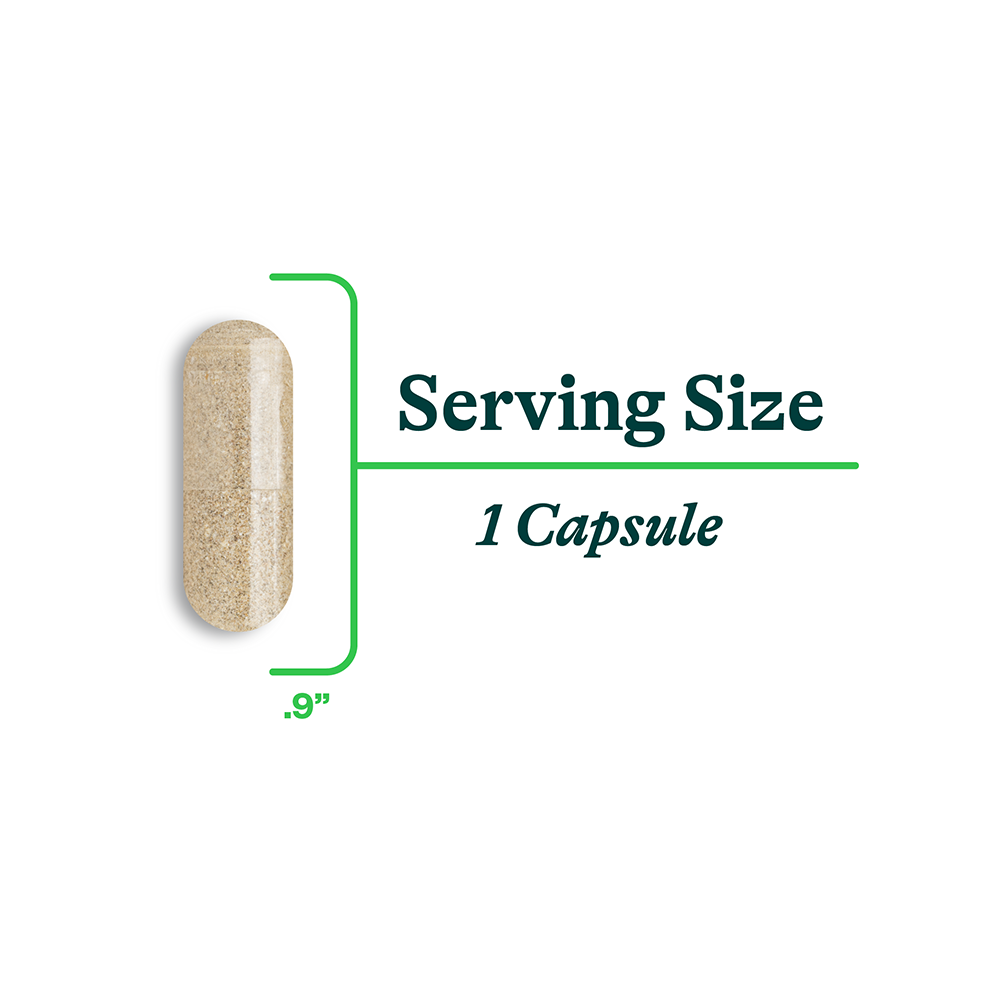 Bile Nutrients - Everyday Essential