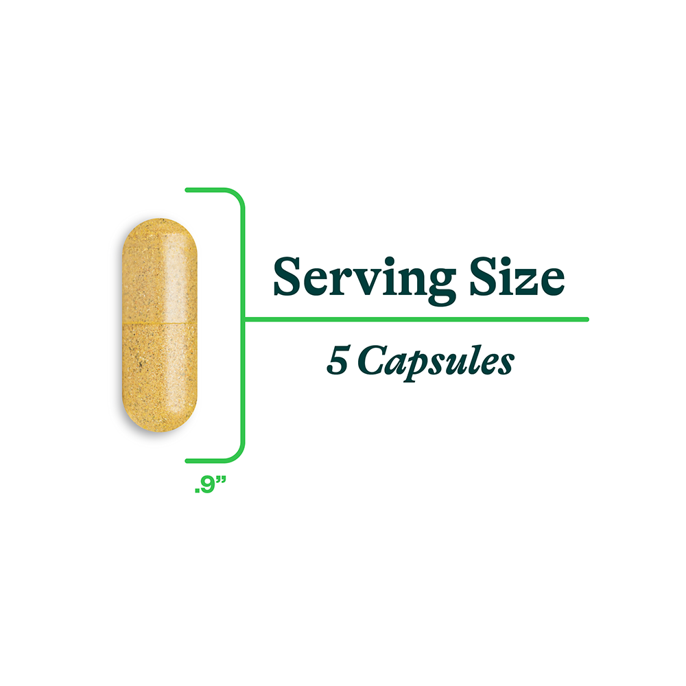 Gut Nutrients - Everyday Essential