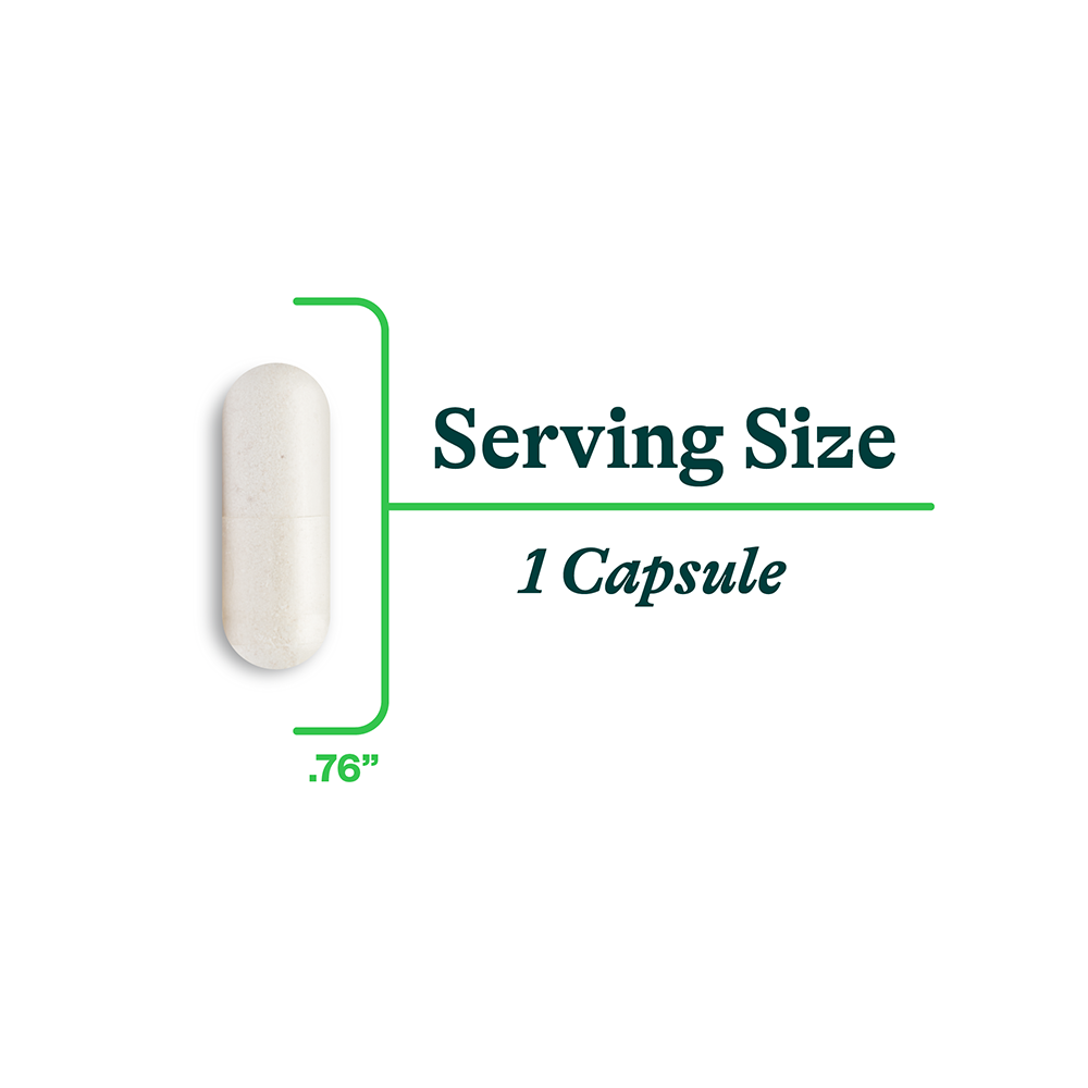 DAO Enzyme - Everyday Essential
