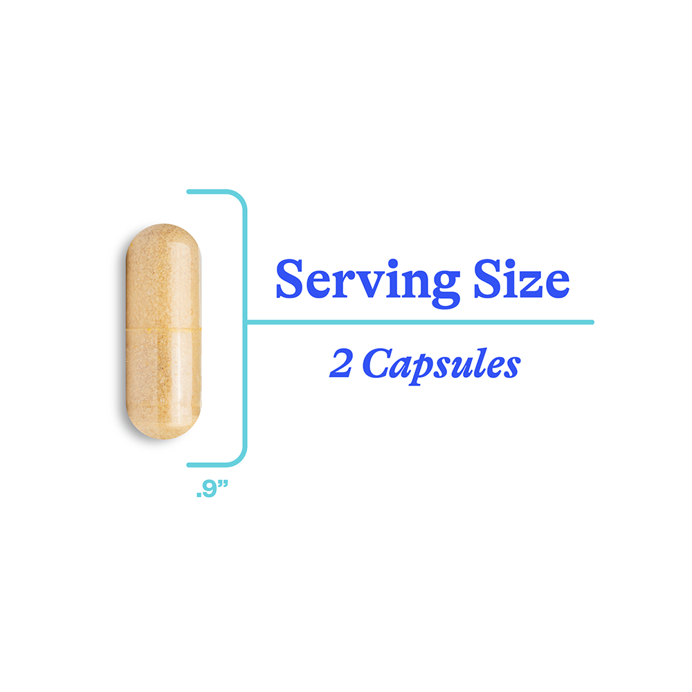 Histamine Nutrients - Everyday Essential