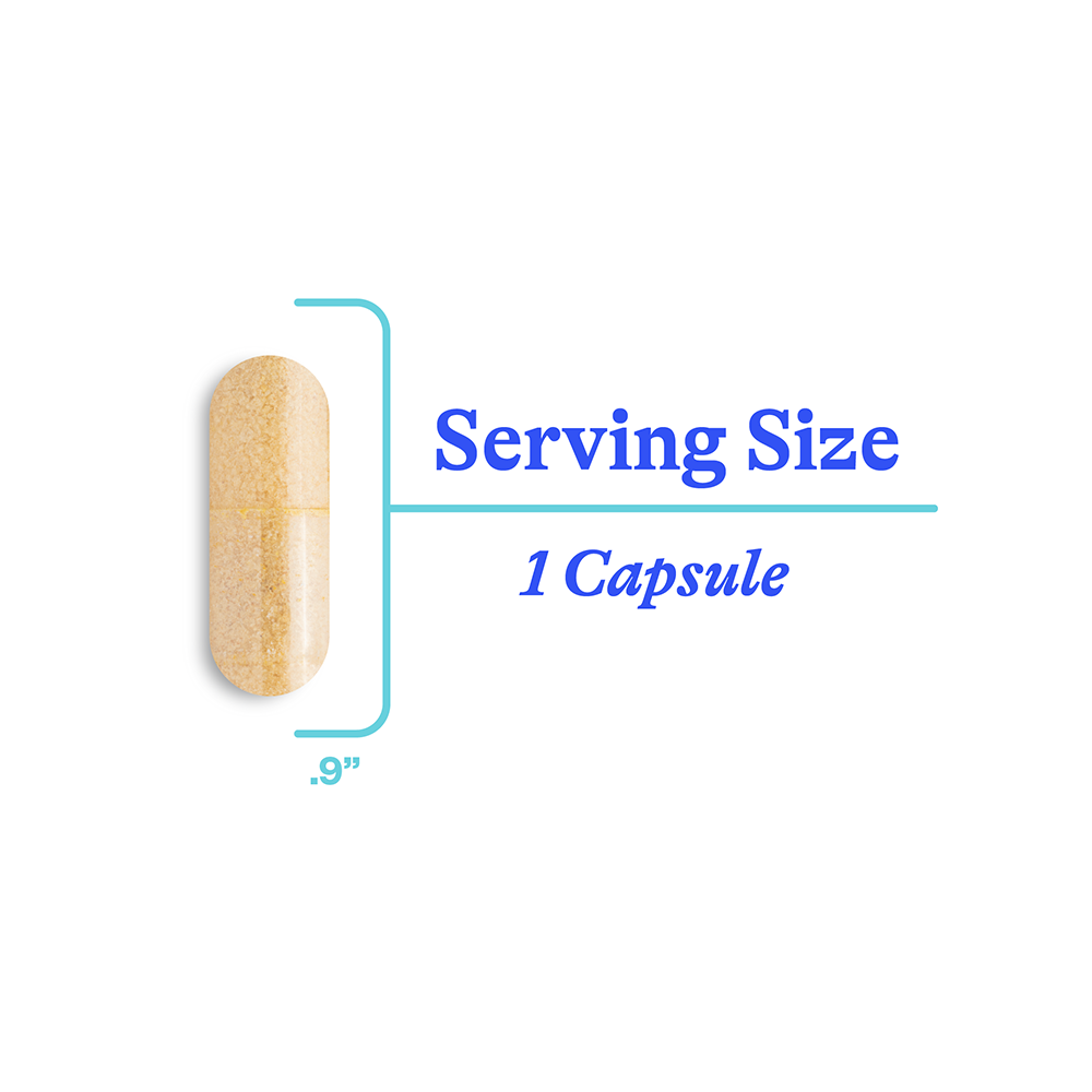 Homocysteine Nutrients - Everyday Essential