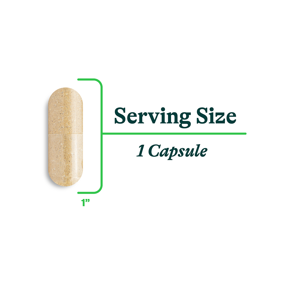 Liver Nutrients - Everyday Essential