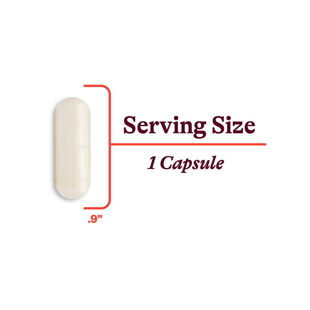 Magnesium Plus - Daily Wellness Essential