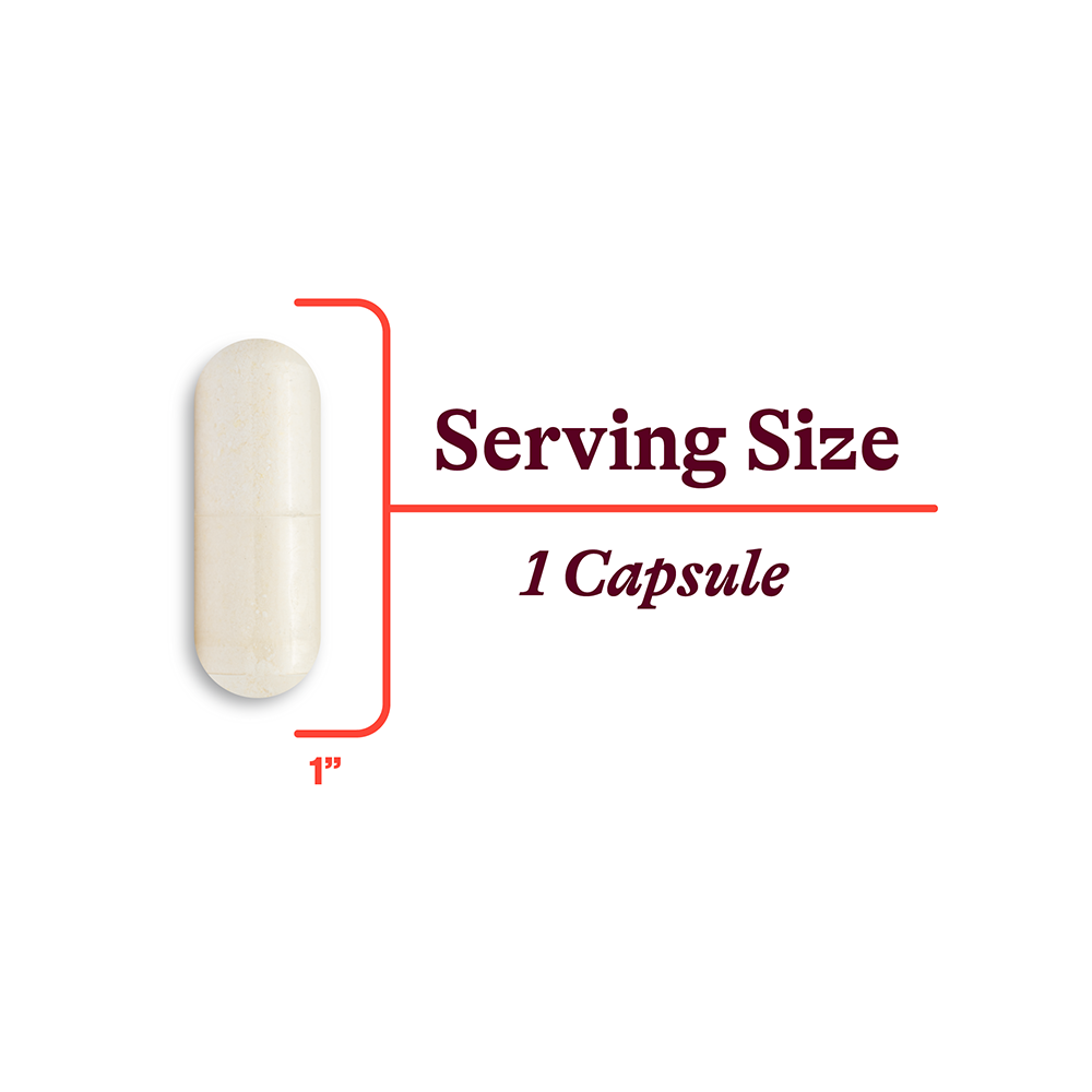 Optimal Magnesium - Daily Wellness Essential