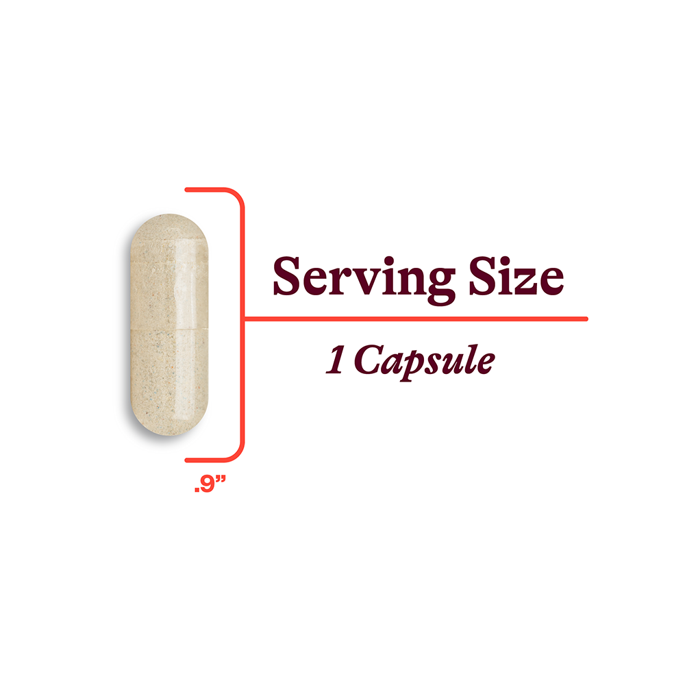 Multivitamin One MF - Daily Wellness Essential