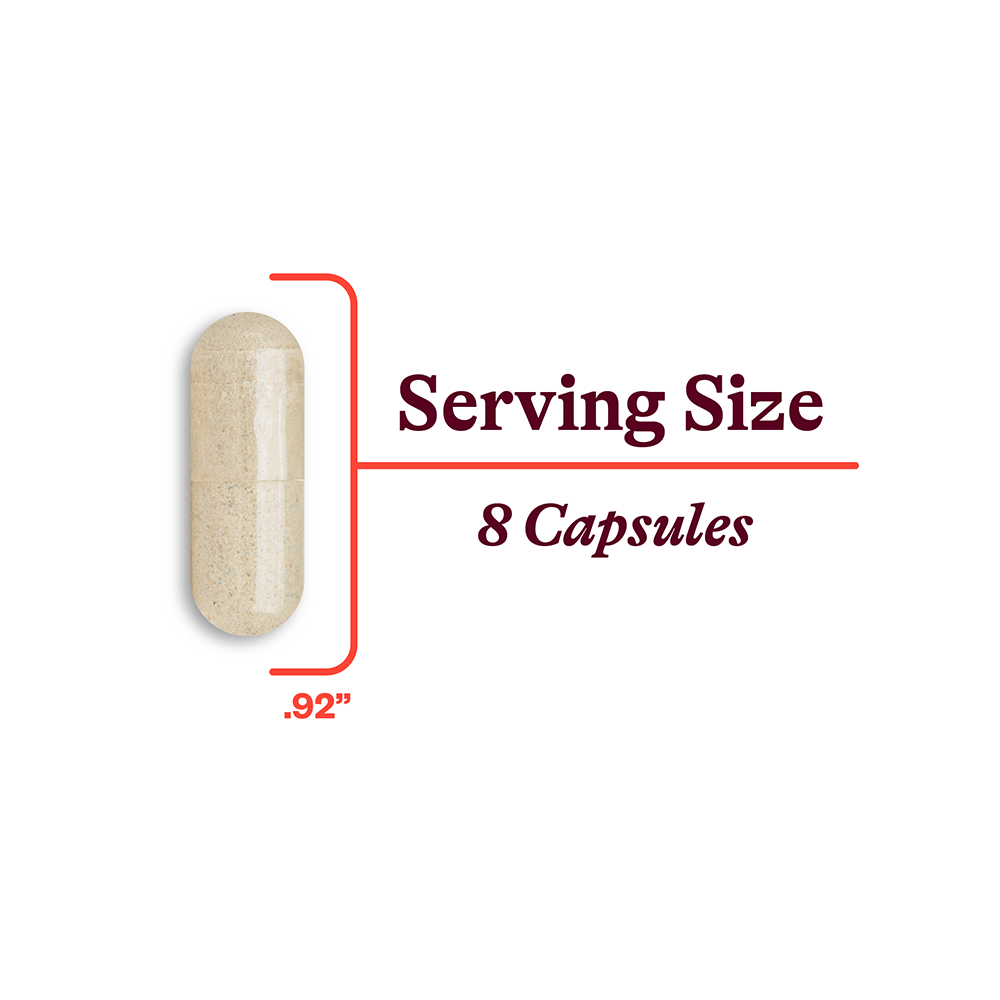 Optimal Multivitamin - Daily Wellness Essential