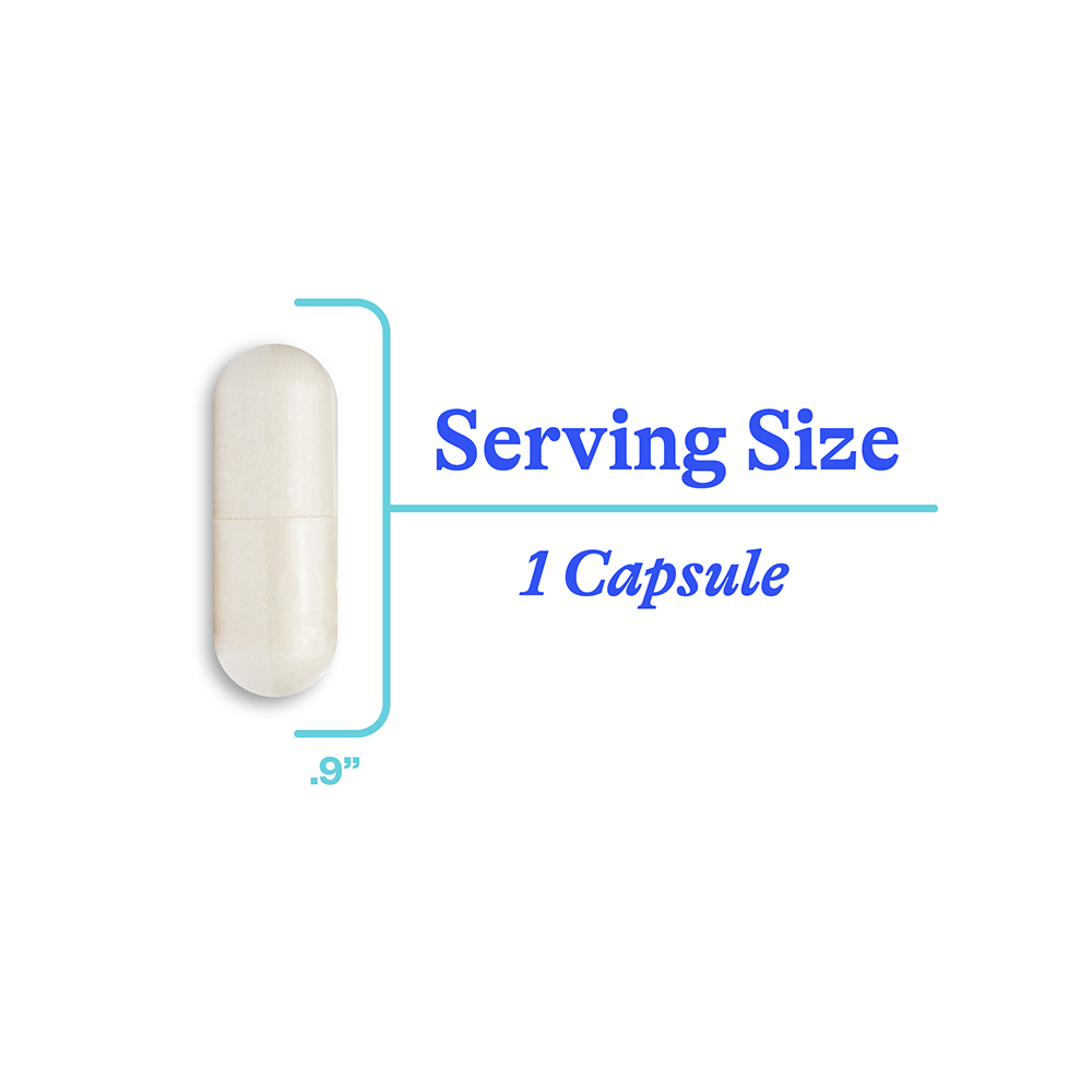 NAC Supplement (N-Acetyl-L-Cysteine) - Daily Wellness Essential