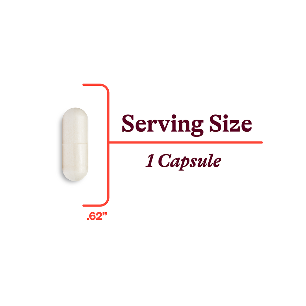 Niacin - Everyday Essential