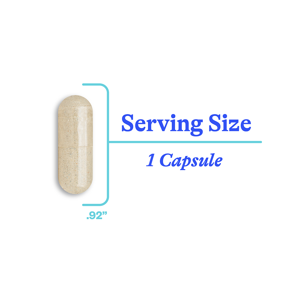 Optimal Focus - Everyday Essential