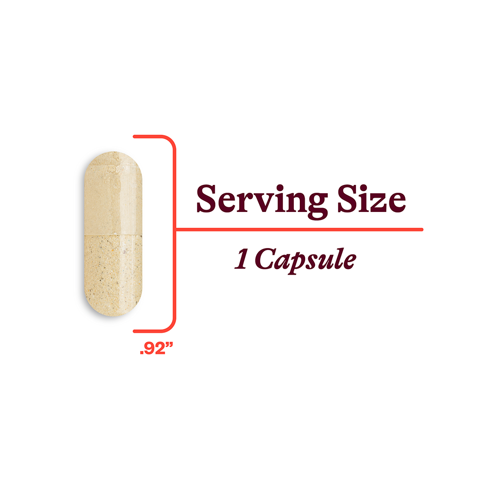Multivitamin One - Daily Wellness Essential