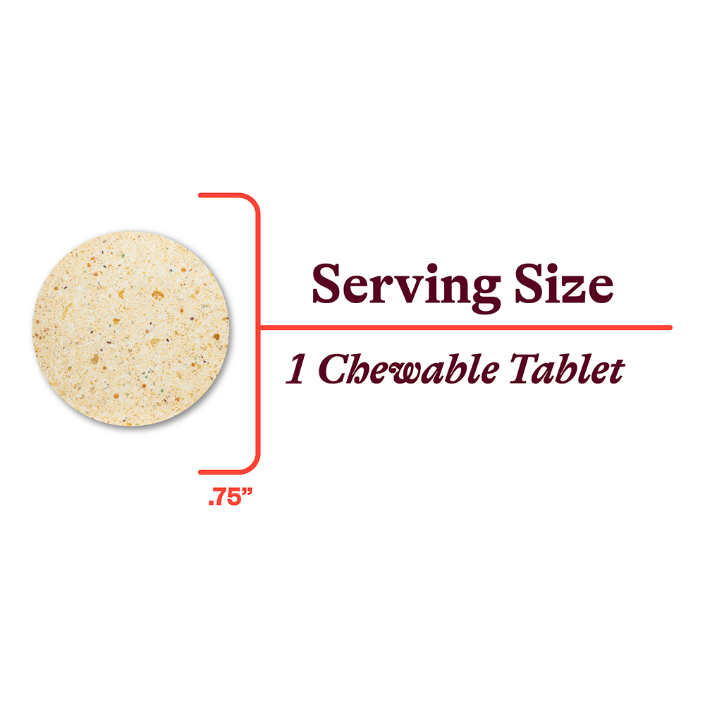Multivitamin One Chewable - Daily Wellness Essential