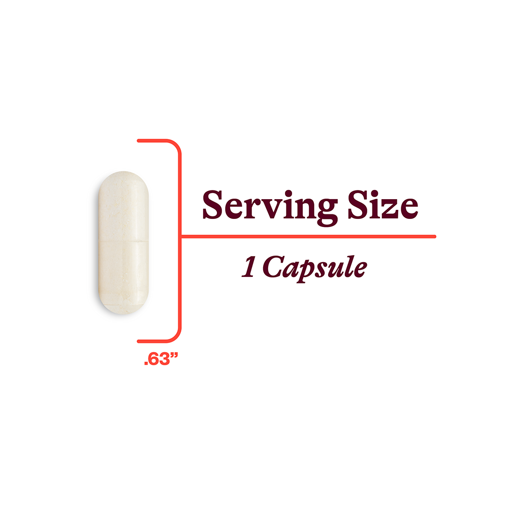 P-5-P (Pyridoxal 5-Phosphate) - Everyday Essential