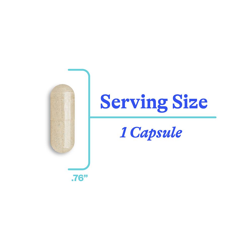 Phosphatidyl Serine - Everyday Essential
