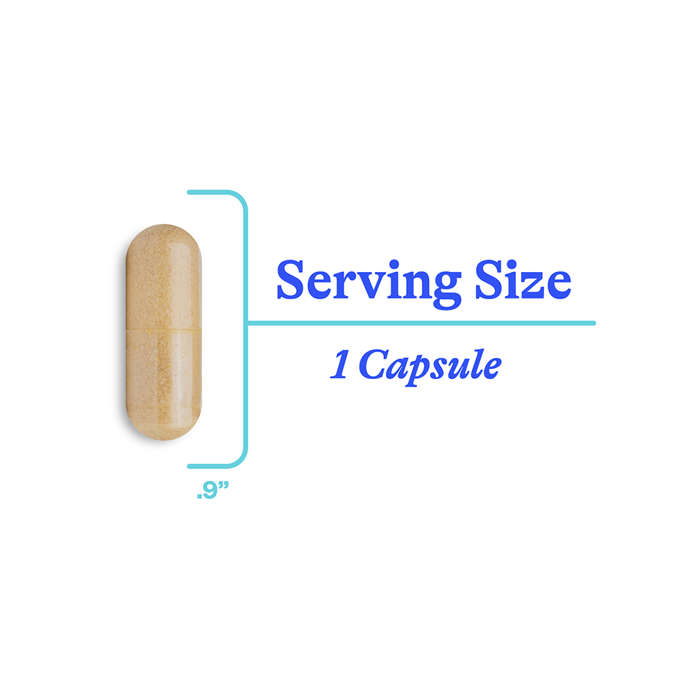 Serotonin Nutrients - Everyday Essential