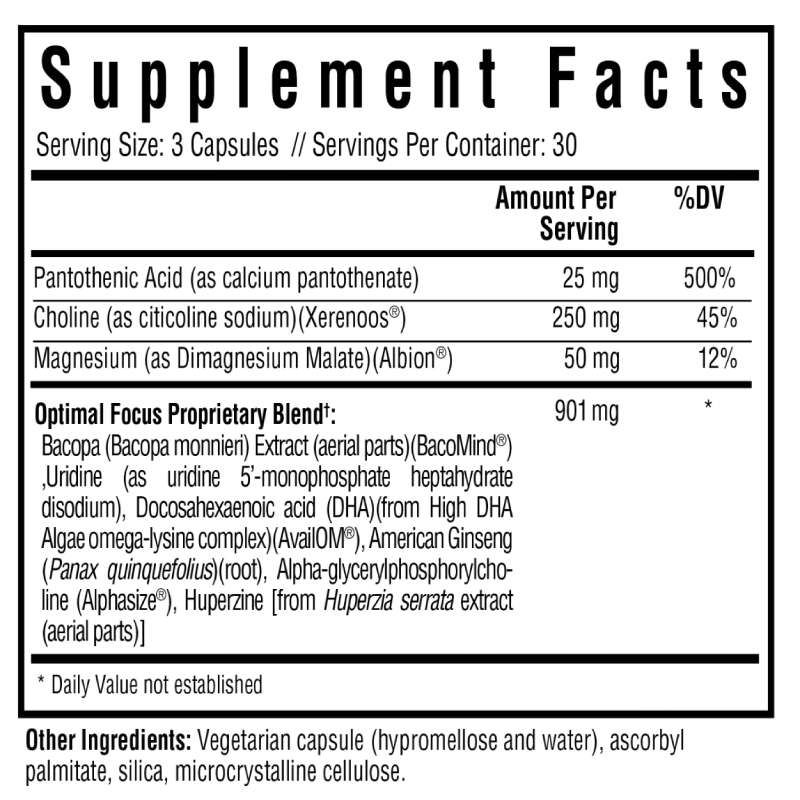 Nootropic Support Bundle - Everyday Essential
