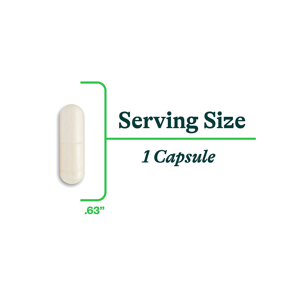 Zinc Carnosine - Everyday Essential